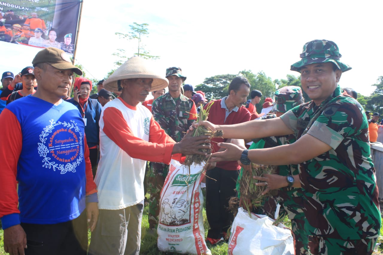 Cegah Longsor, Tanggul Sungai Gamping Ditanami Rumput Vetiver