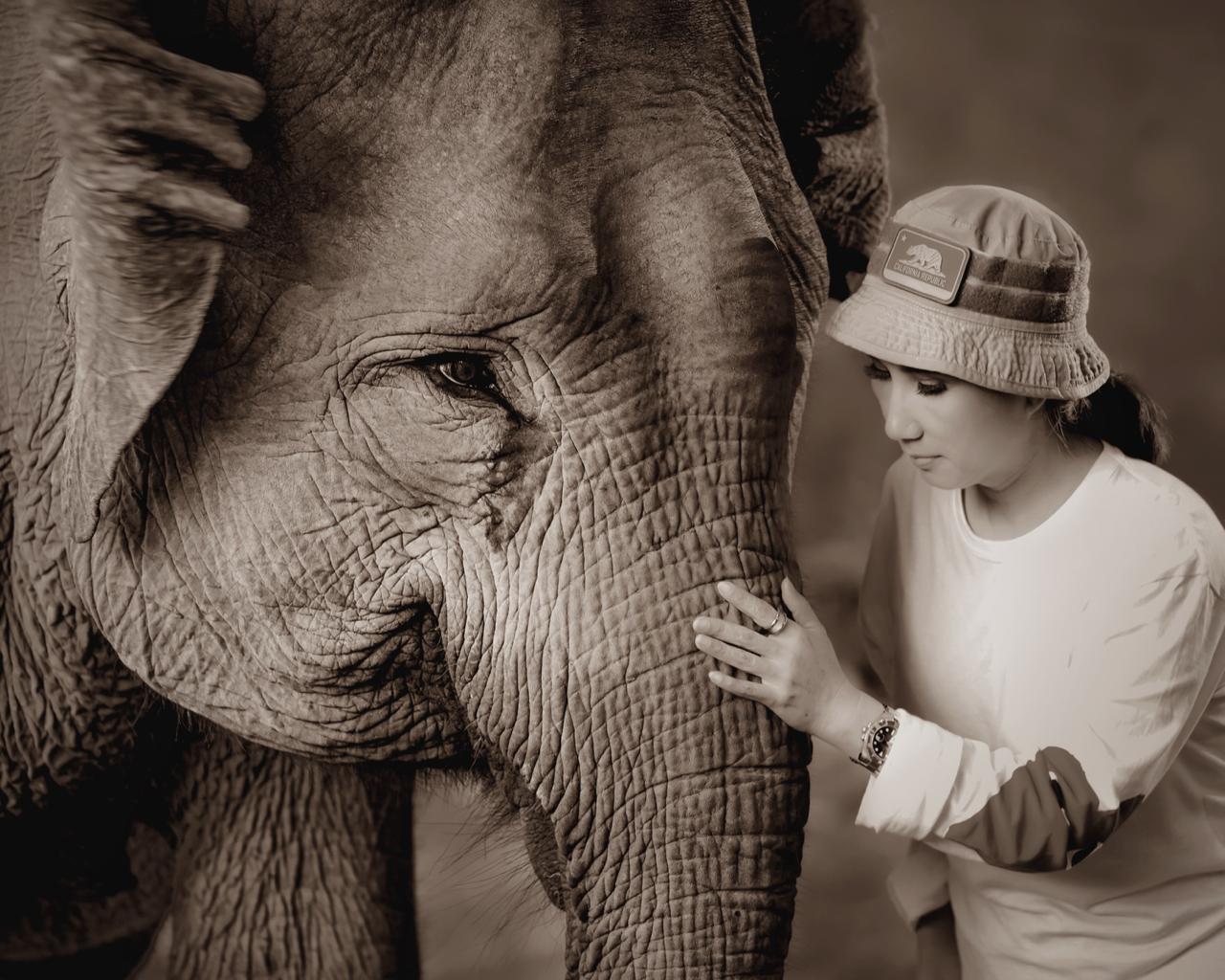 Foto gajah hasil jepretan Winta yang telah mengubah Desa Buluh Cina menjadi Desa Wisata.