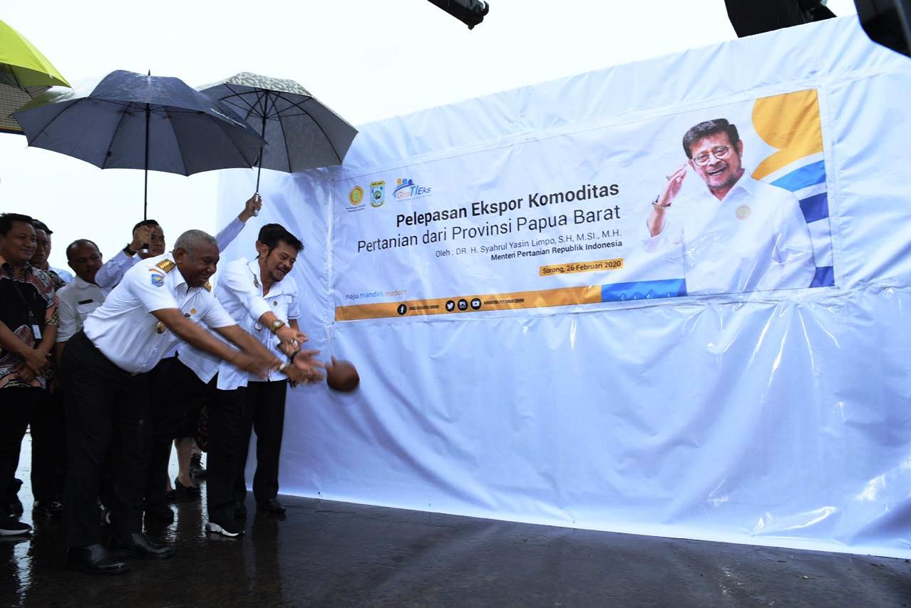 Mentan Syahrul melepas ekspor buah merah.