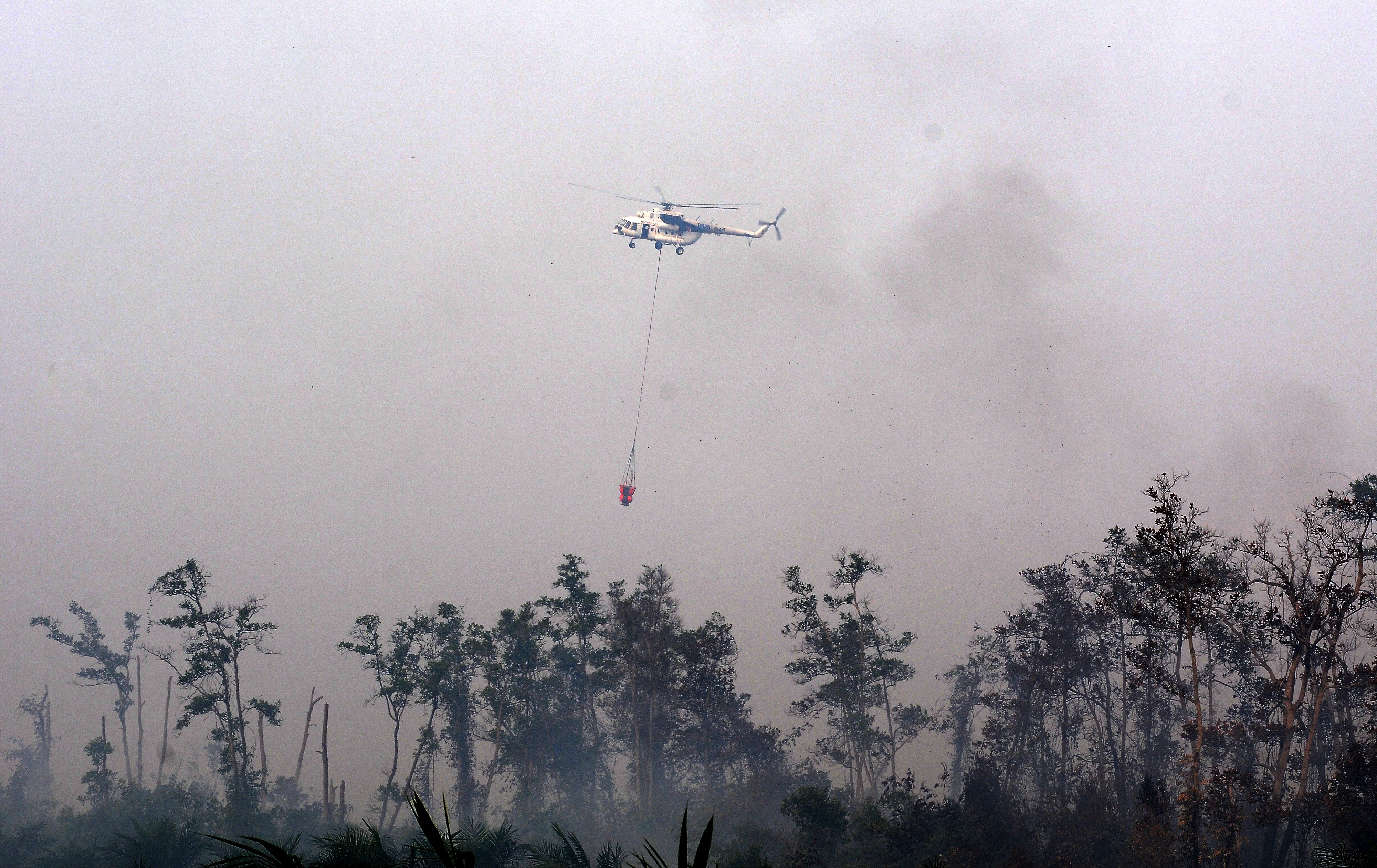 Helikopter 9N-AHT milik BNPB melakukan pemadaman dari udara di lahan gambut yang terbakar, Betung, Muarojambi, Jambi, Kamis (3/10/2019)