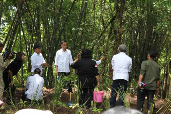 Jokowi dorong warga Wonogiri selamatkan Gajah Mungkur dari sedimentasi parah dengan penanaman pohon.