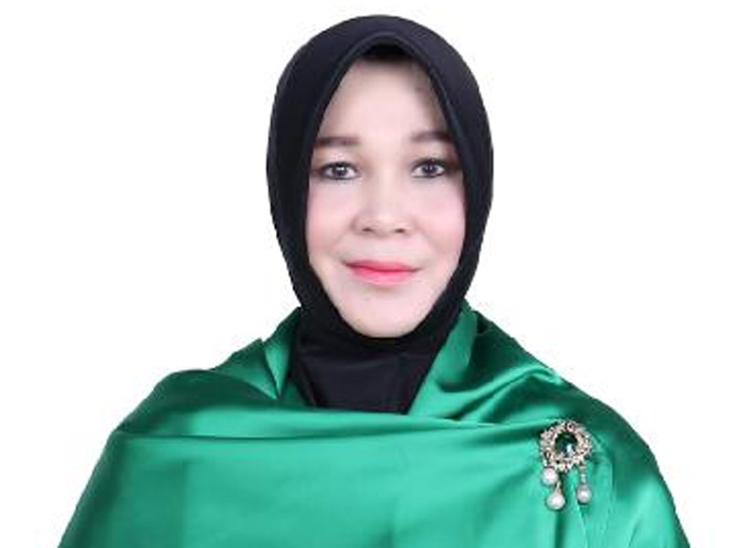 Anggota DPR dari Fraksi Partai Persatuan Pembangunan (PPP) Illiza Sa