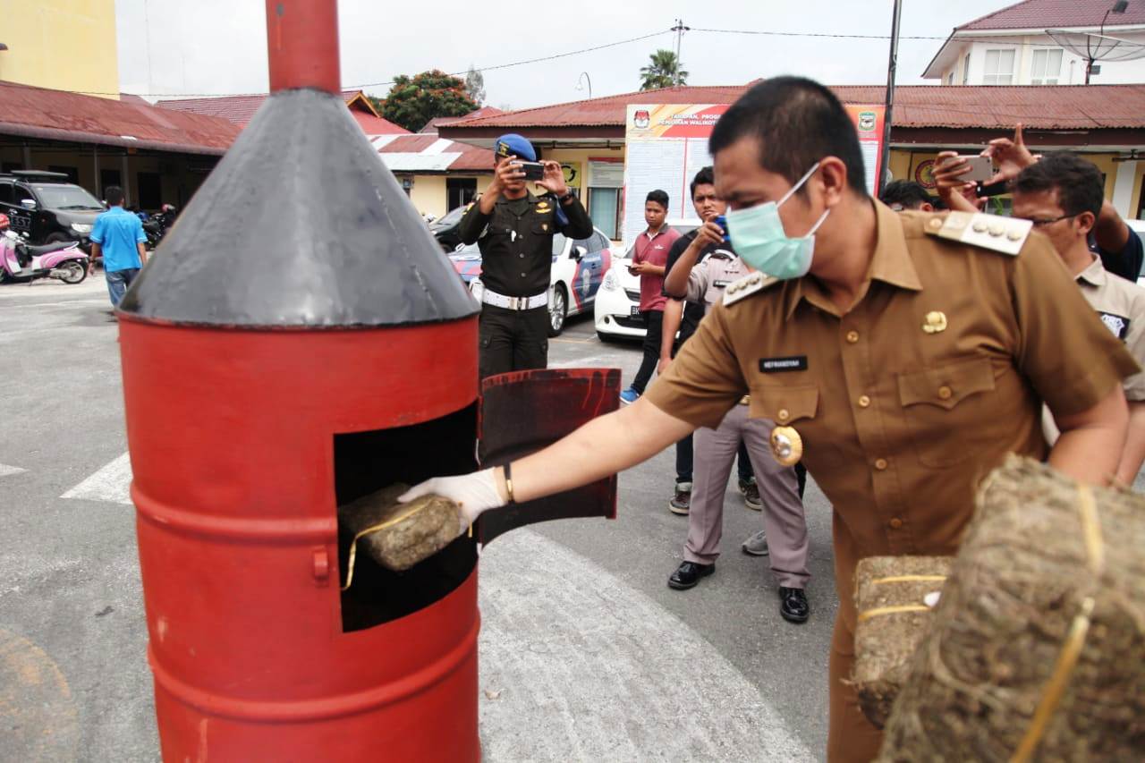 Polres Pematangsiantar memusnahkan 57 kg ganja 