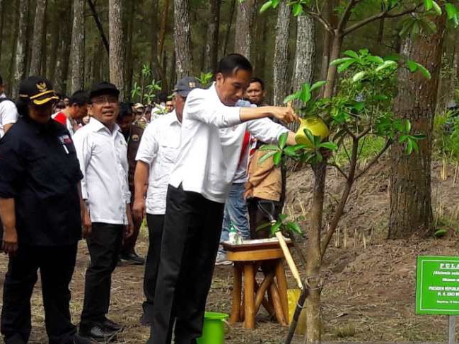 Tanam Pohon untuk Perbaiki Lingkungan dan Angkat Perekonomian