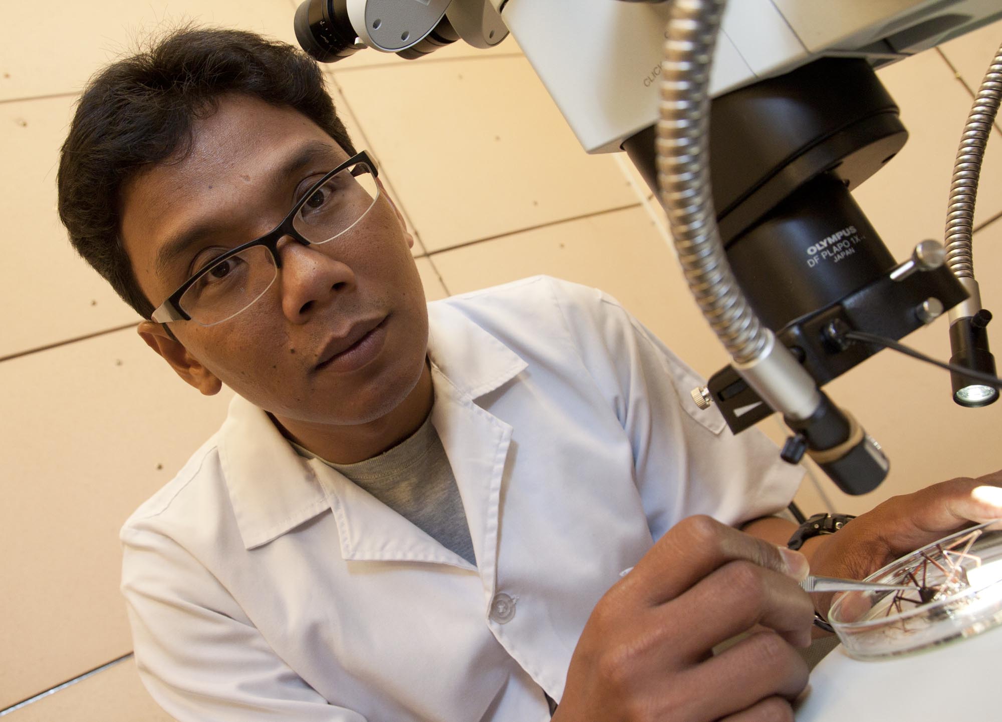 Kepala Bidang Zoologi Pusat Penelitian Biologi LIPI Cahyo Rahmadi