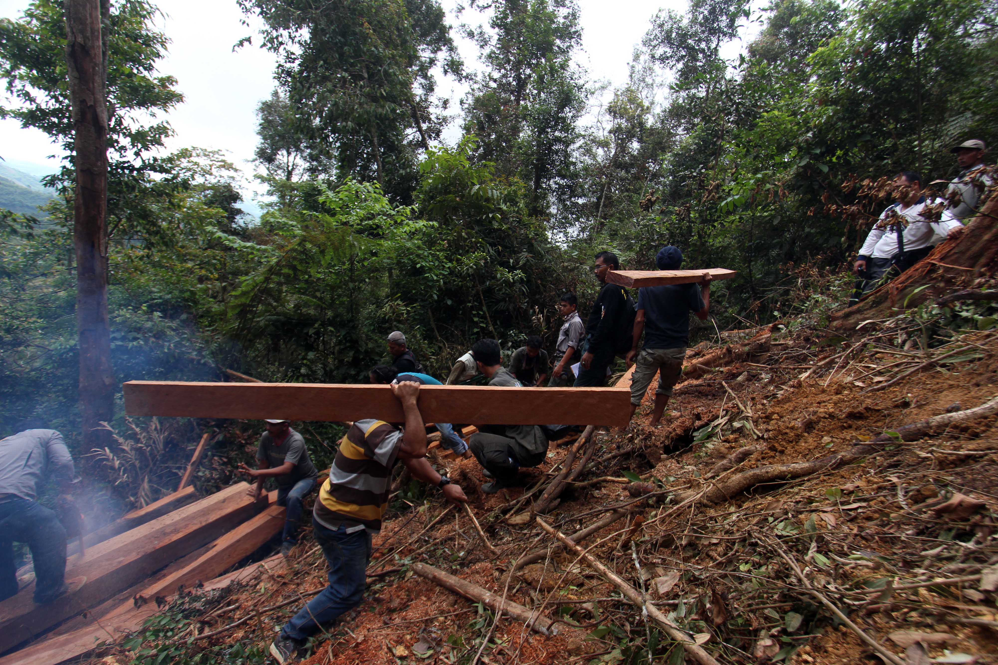 Petugas Balai Besar Taman Nasional Gunung Leuser (BBTNGL) Kementerian Kehutanan mengangkut kayu olahan milik pembalak liar 
