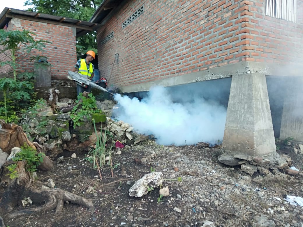 Petugas melakukan fogging di Kabupaten Lembata, NTT