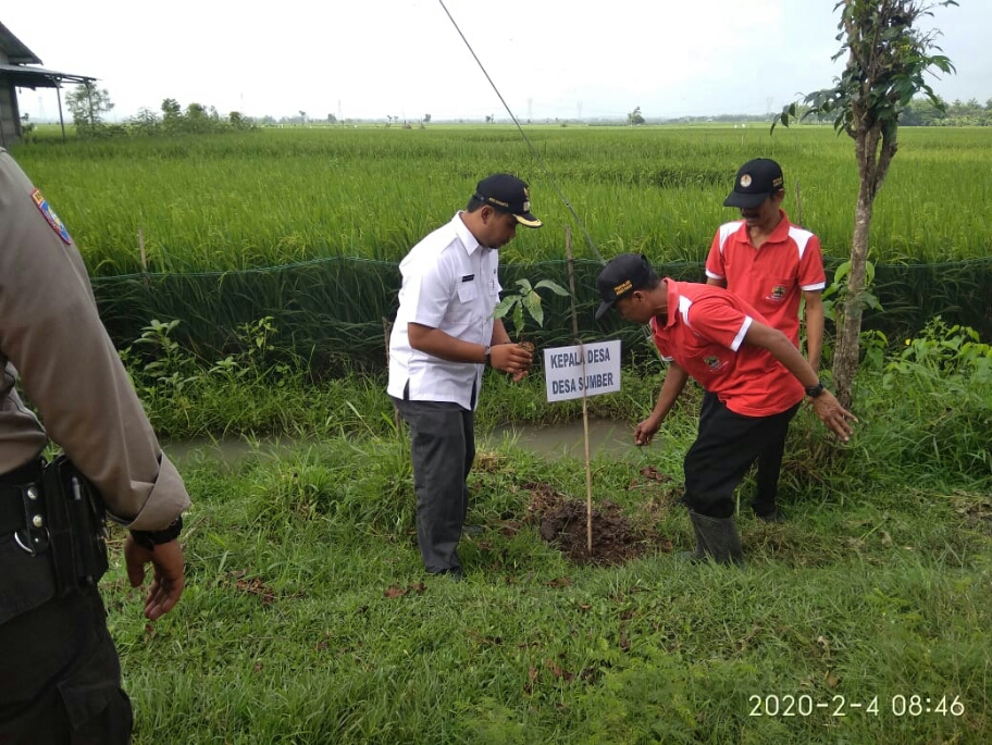 Kepala Desa Sumber, Aris Susanto menanam pohon di sepanjang DAS Bengawan Solo wilayah Kabupaten Blora, Jawa Tengah. 