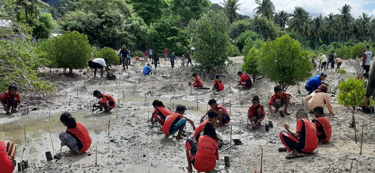 Para siswa SD dan SMP sedang menanam 1.000 bibit bakau bersama personel Polair NTT di Sikka.