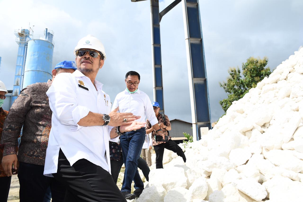 Mentan Syahrul Yasin Limpo.