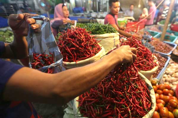 Cabai merah keriting