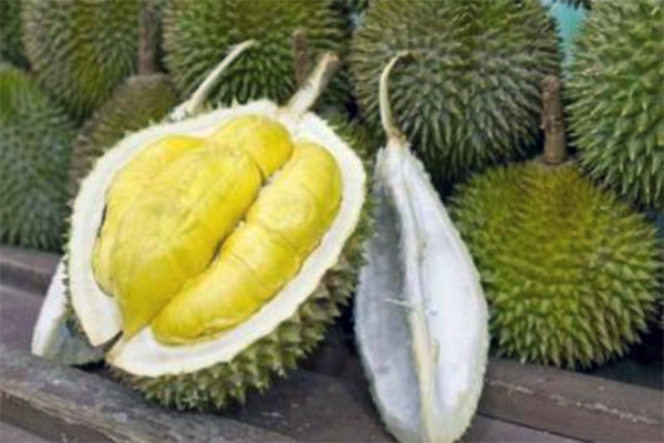 Durian Kadu Hejo 