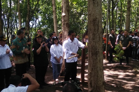 Presiden Jokowi memukul kentongan tanda dimulainya penanaman pohon di hulu Waduk Gajah Mungkur,Sabtu(15/2)