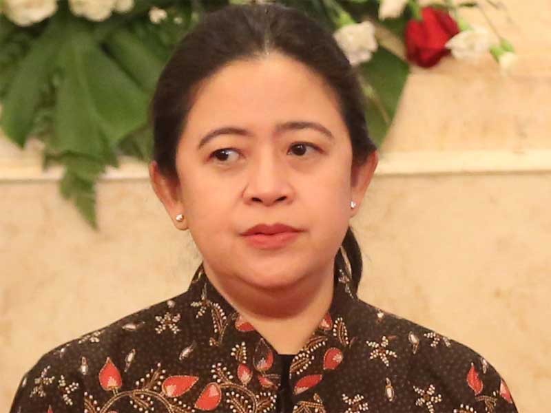Ketua DPR, Puan Maharani.