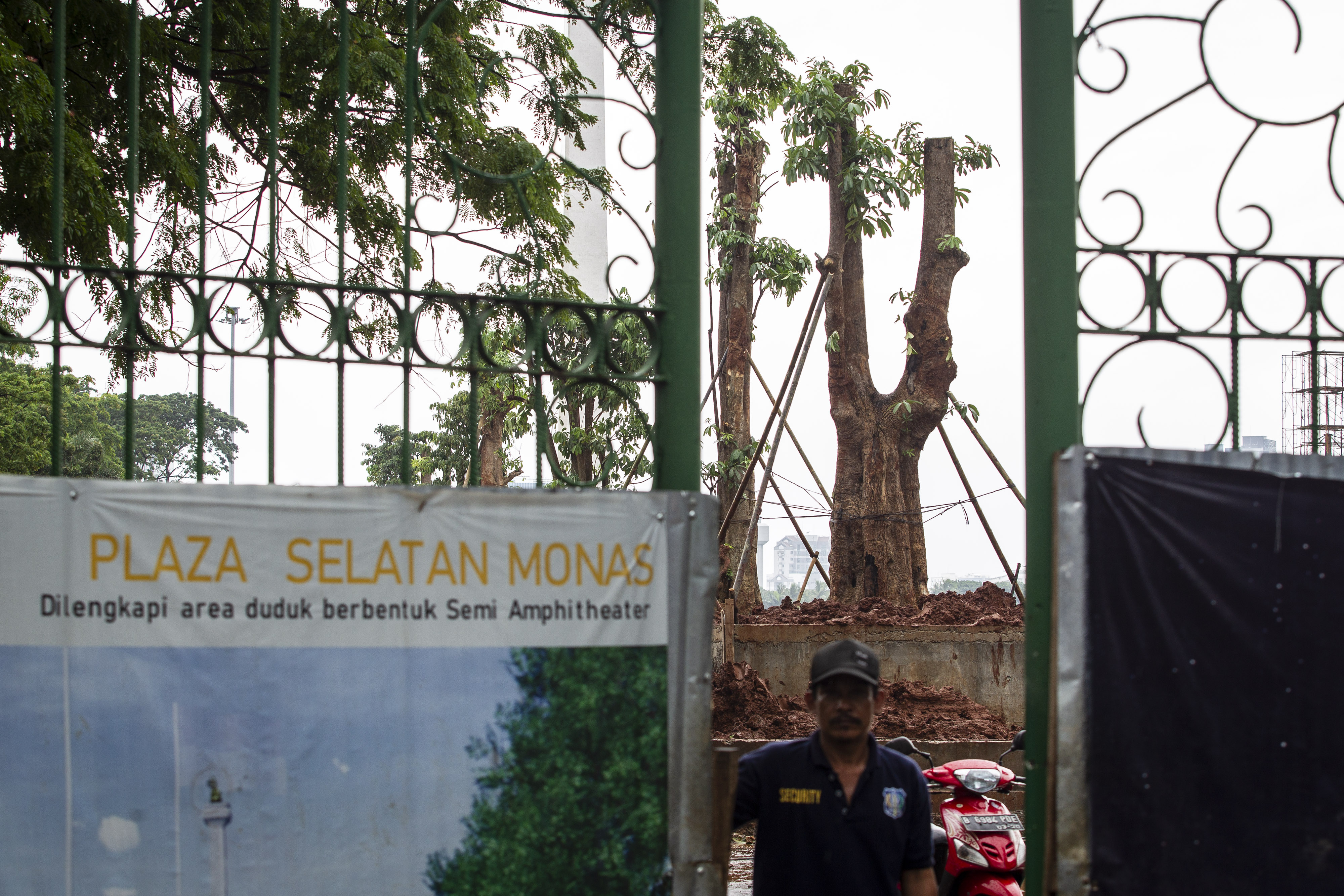 Proses penanaman kembali di Plaza Selatan Monas