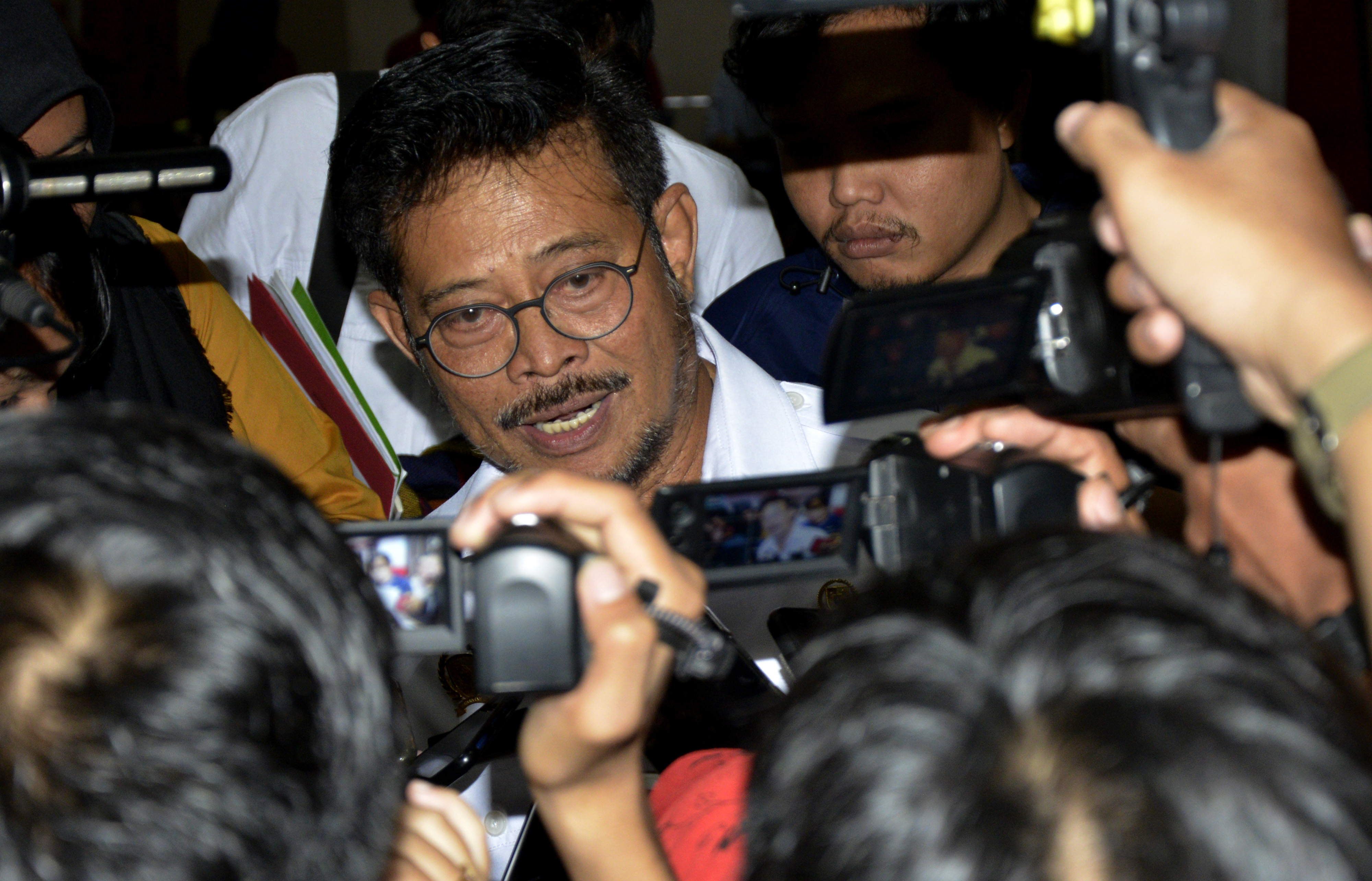 Menteri Pertanian Syahrul Yasin Limpo