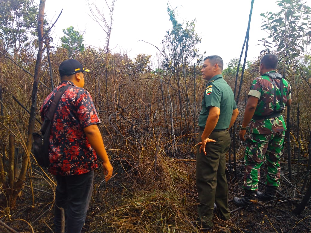 Petugas memantau karhutla di Riau