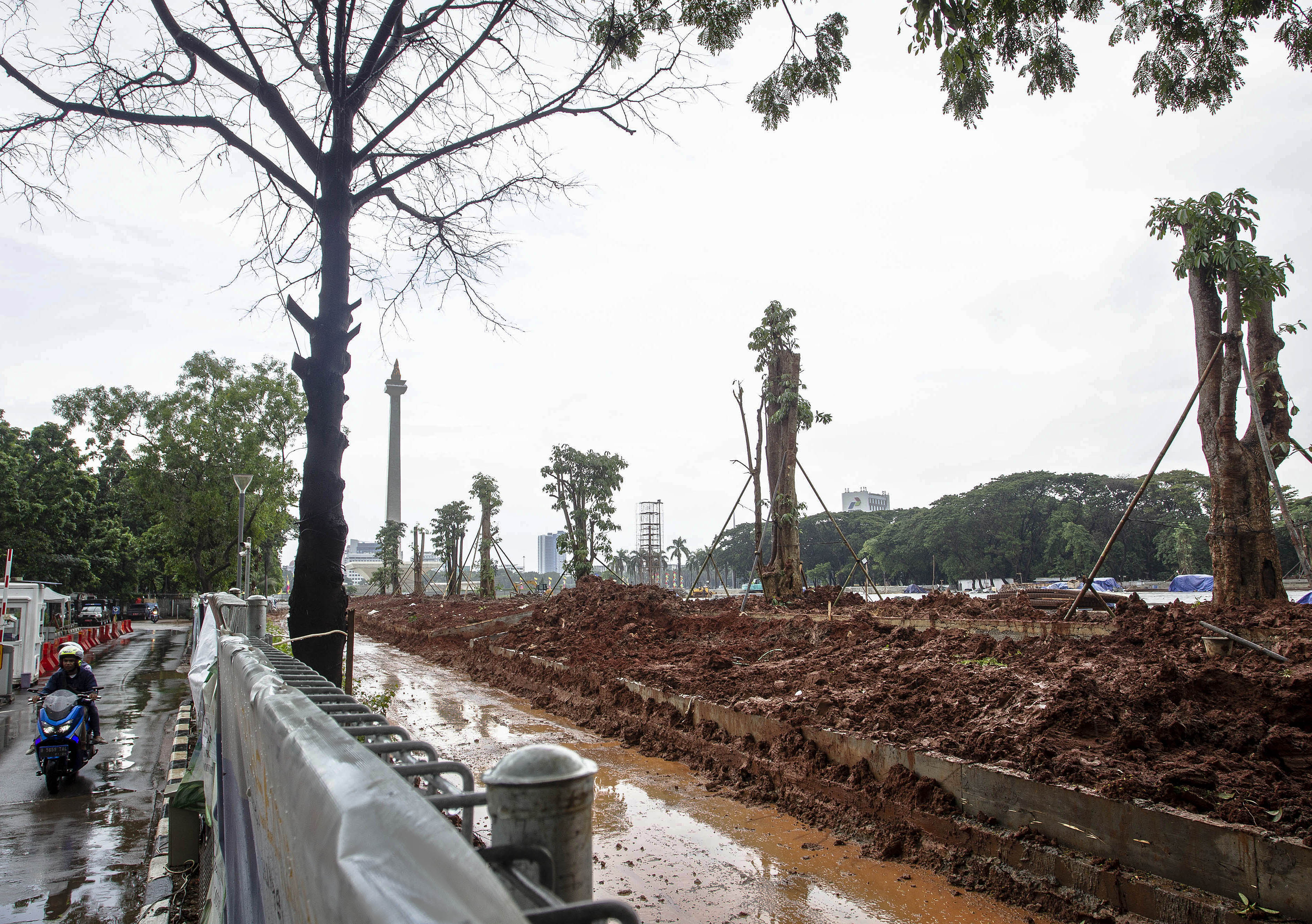 Suasana penanaman pohon di lokasi revitalisasi Plaza Selatan Monumen Nasional (Monas), Jakarta, Selasa (4/2/2020). 