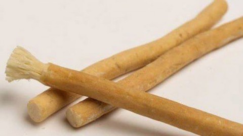 Penelitian membuktikan bahwa siwak adalah bahan alami yang berfungsi menghambat dan mematikan pertumbuhan bakteri 