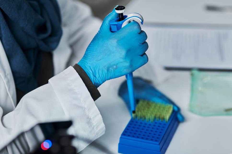 Otoritas Nigeria telah mengaktifkan upaya mengatasi penyakit misterius. 