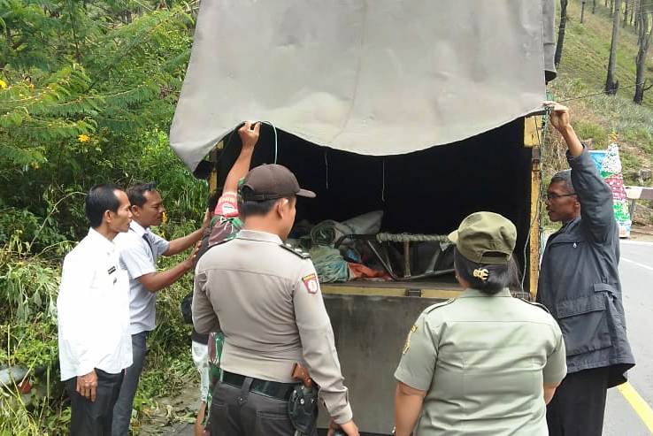 Awasi lalu lintas babi.