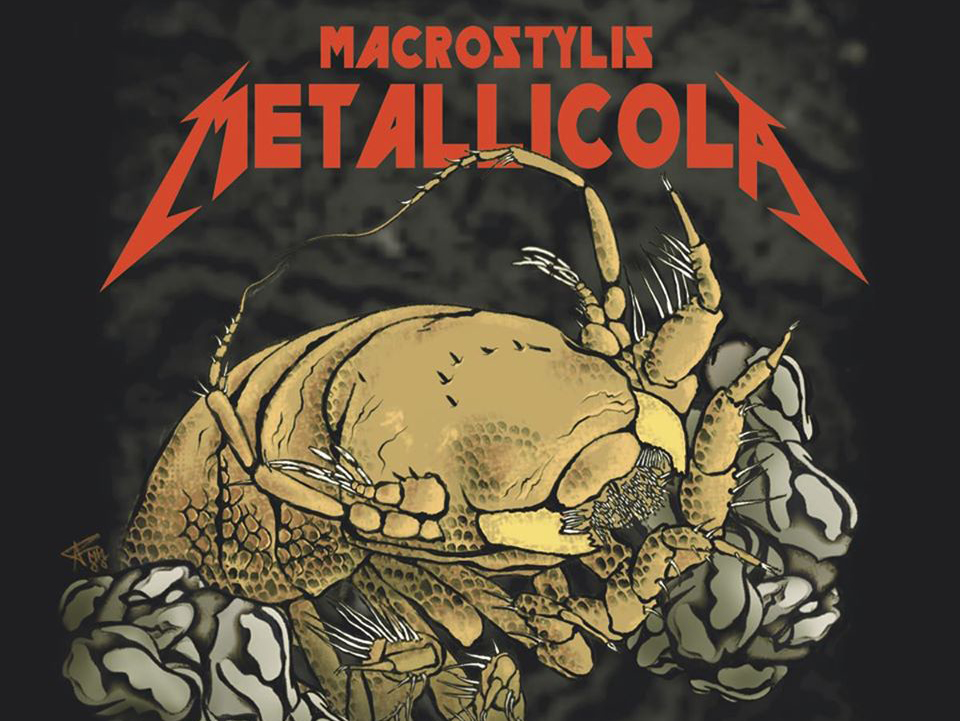 Nama band legendaris Metallica kini disematkan pada spesies baru hewan akuatik.