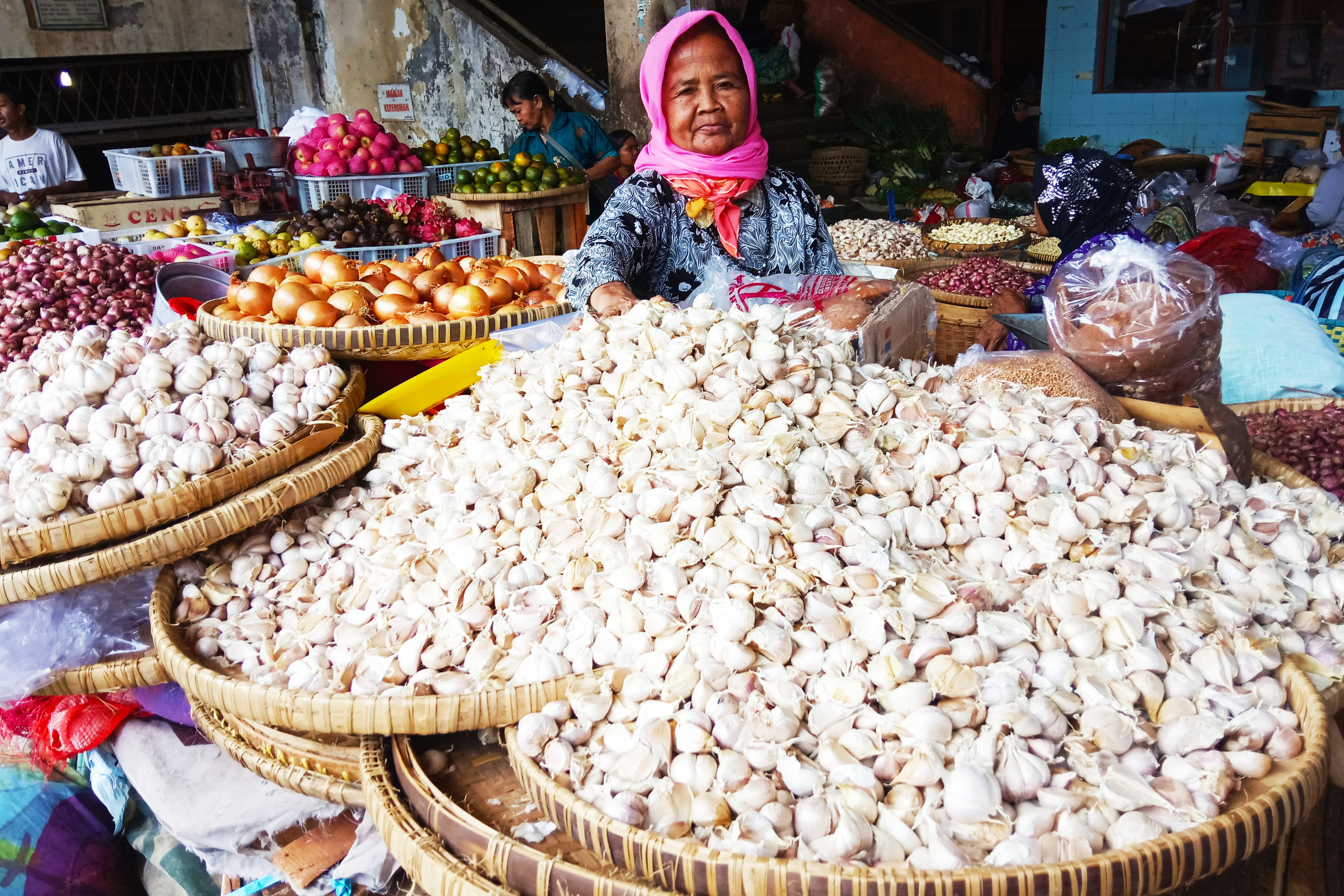 Harga Bawang Putih Terus Bergerak Turun.