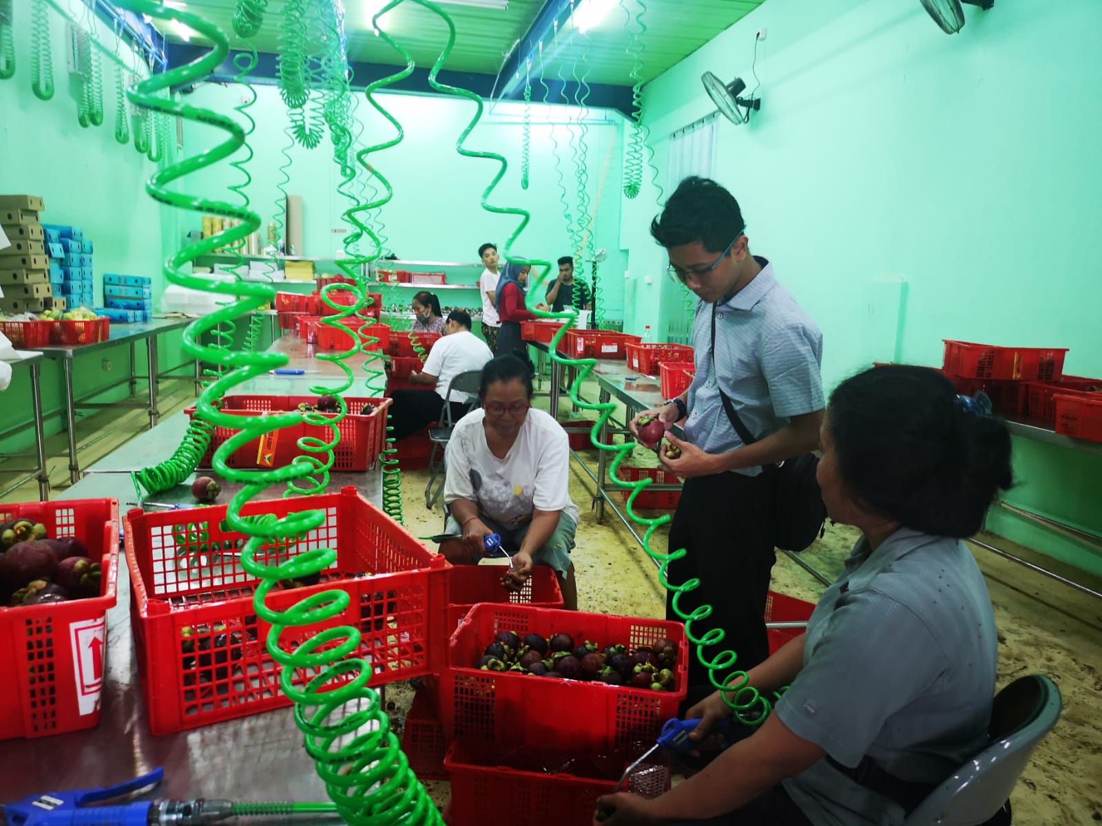 Produk pertaniannya telah diekspor ke 10 negara.