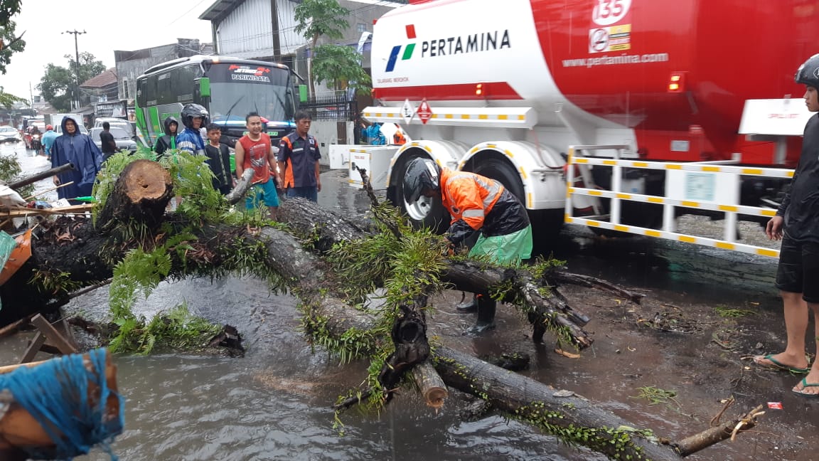 Hujan deras disertai angin kencang dan petir telah mengakibatkanpuluhan pohon tumbang di sejumlah titik di Kota Tasikmalaya.