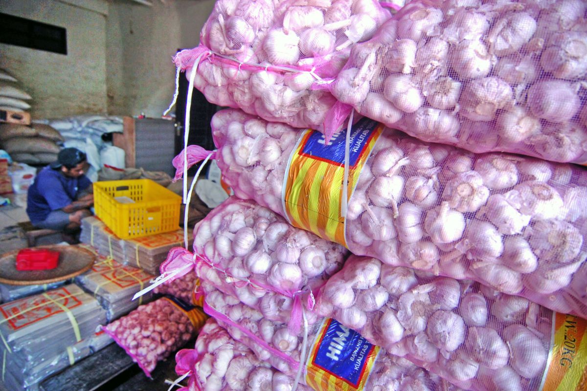 Harga bawang putih meroket