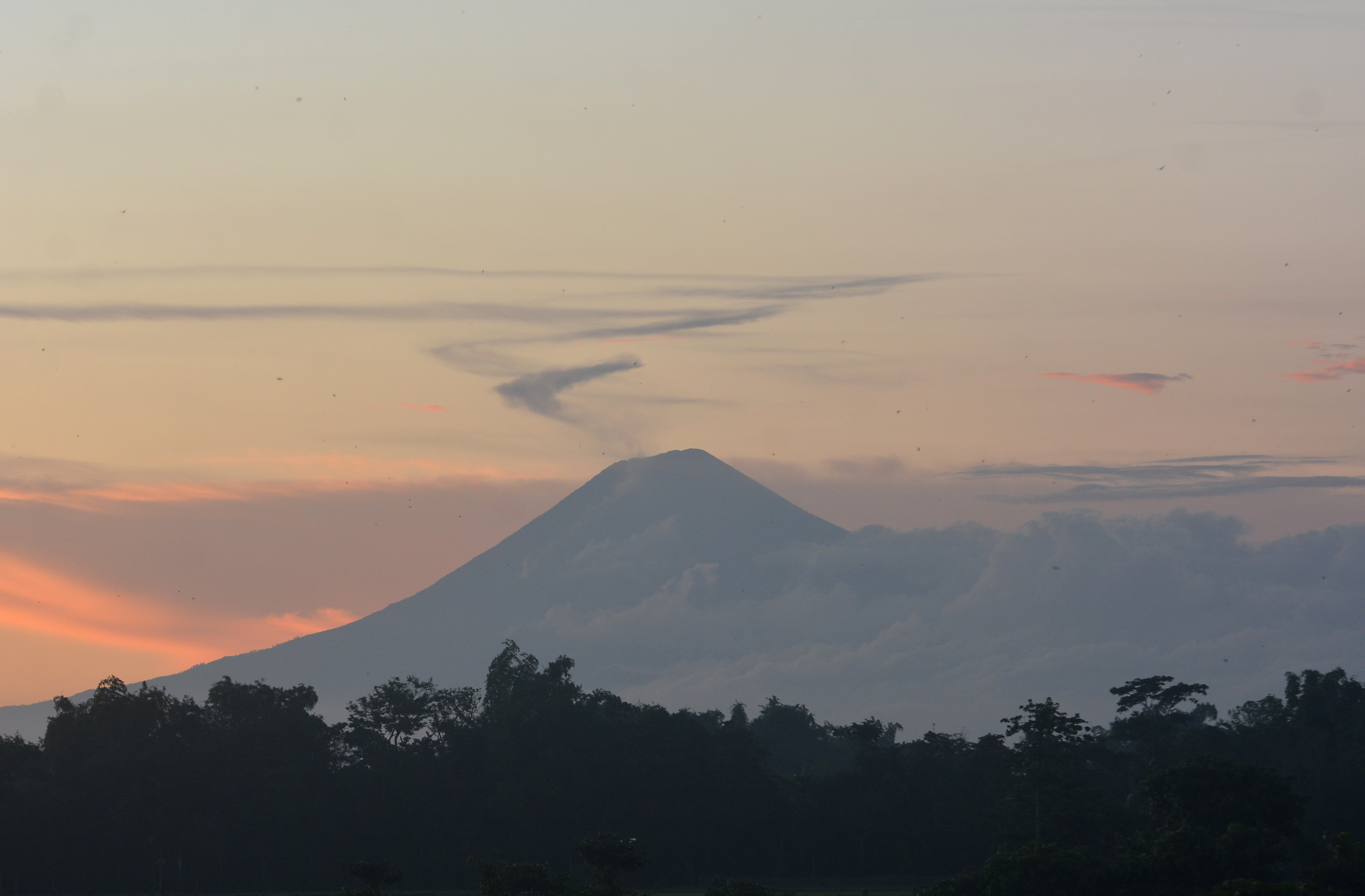 Gunung Semeru terlihat dari Desa Balung Kulon, Kecamatan Balung, Jember, Jawa Timur, Jumat (17/1)