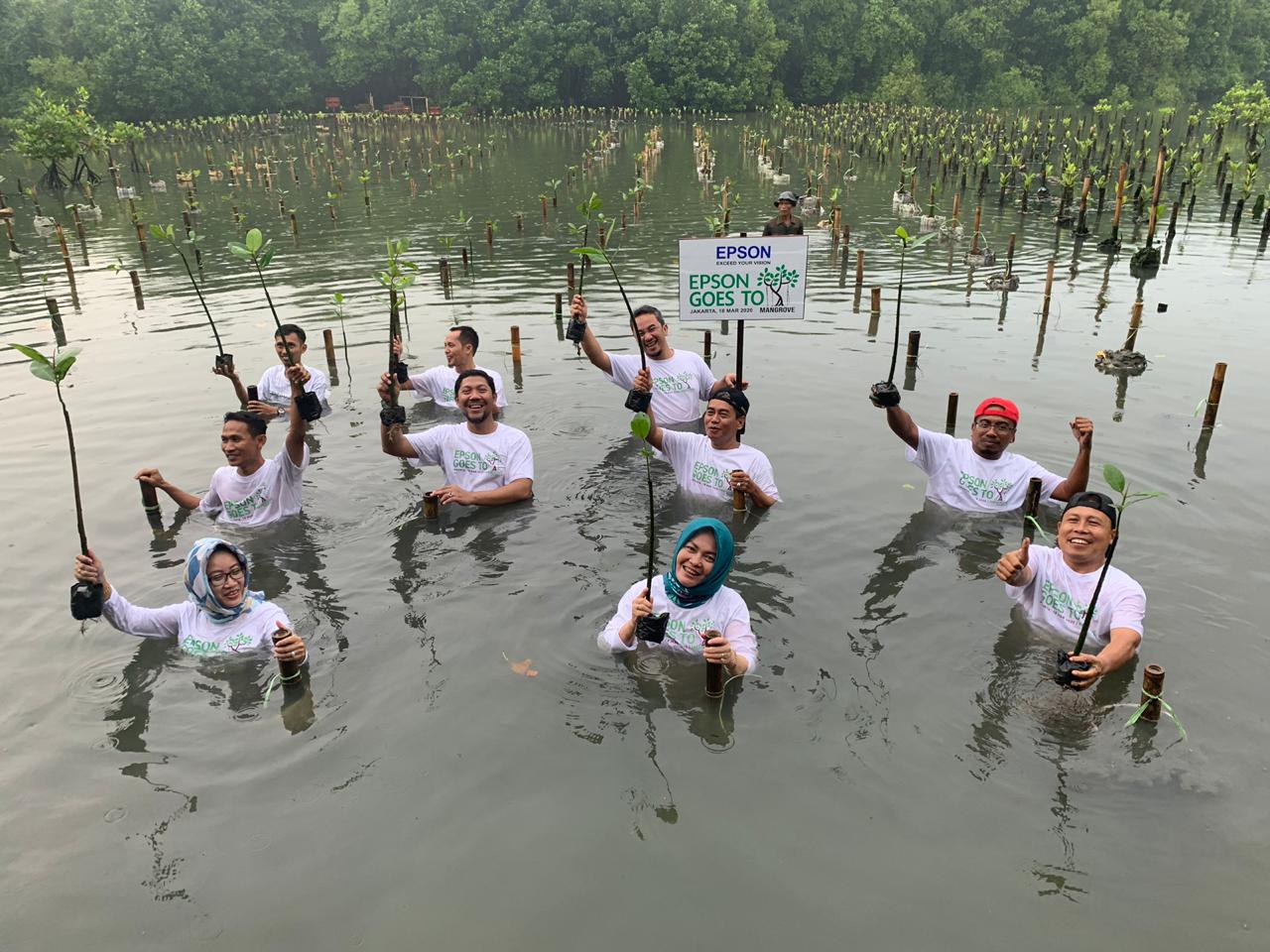 Penanama mangrove di TWA Angke