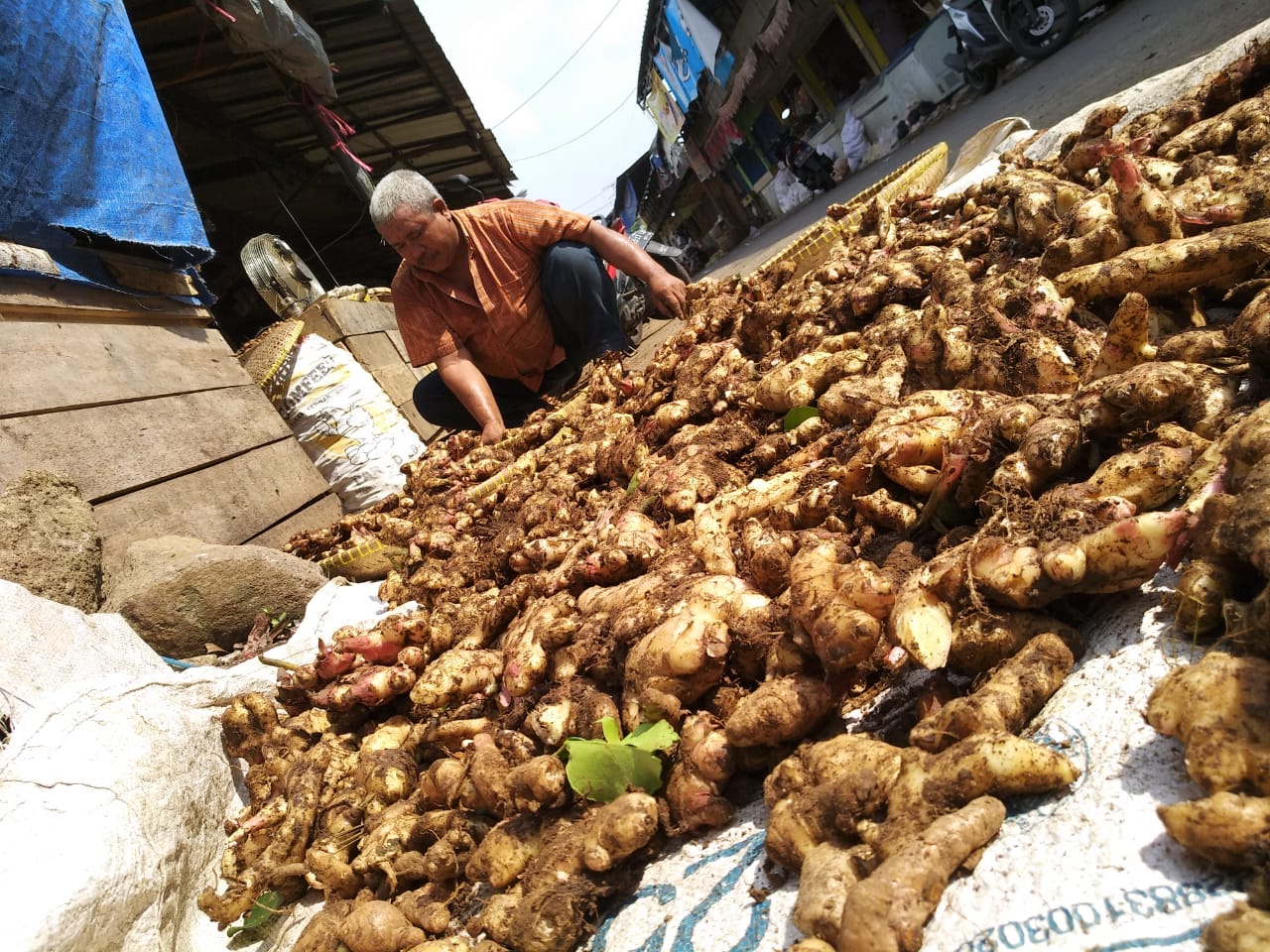 Langkanya jahe merah membuat pembeli menyerbu jahe putih untuk mencegah virus korona. 