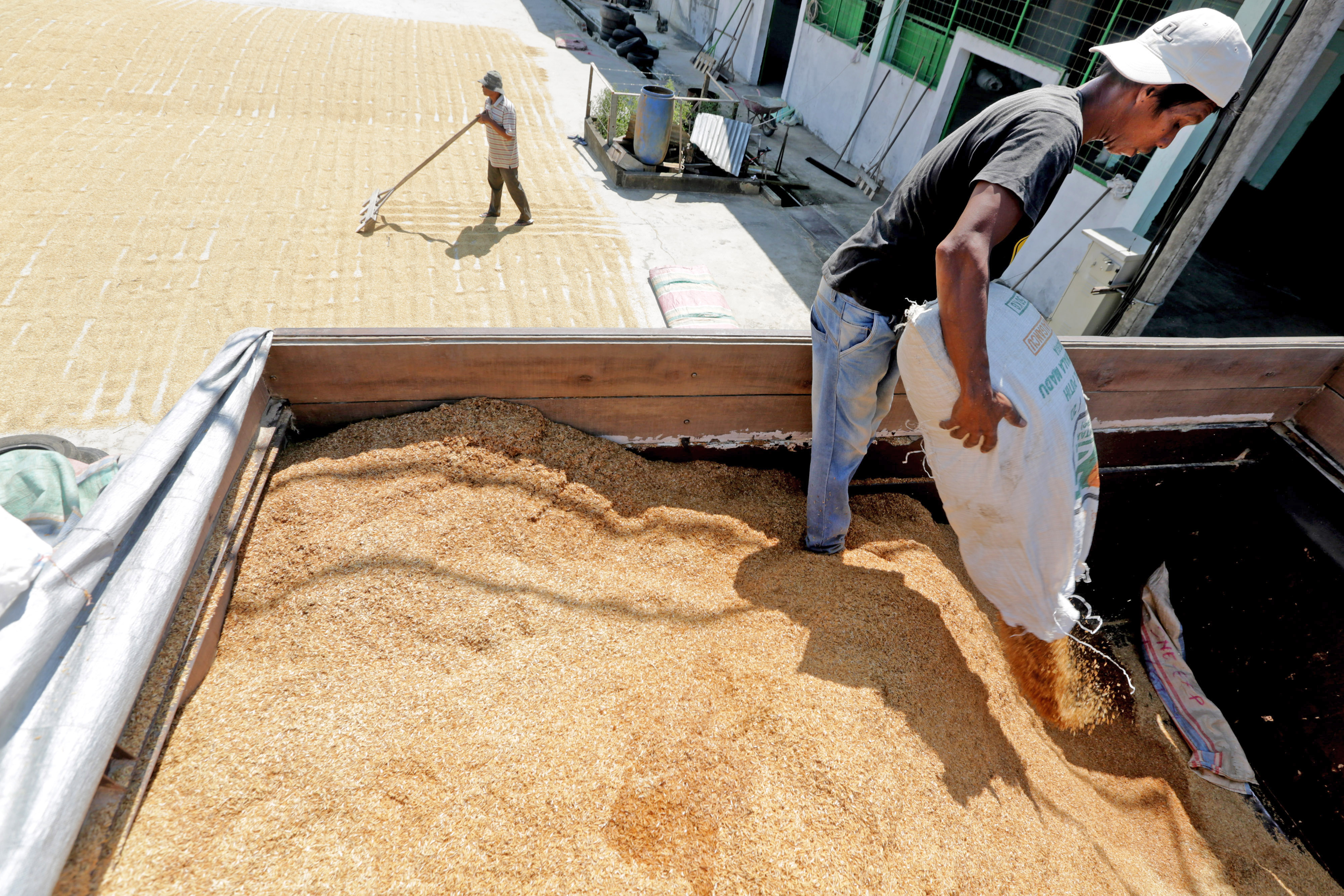 Produksi padi Kabupaten Lebong Tertinggi se Provinsi Bengkulu