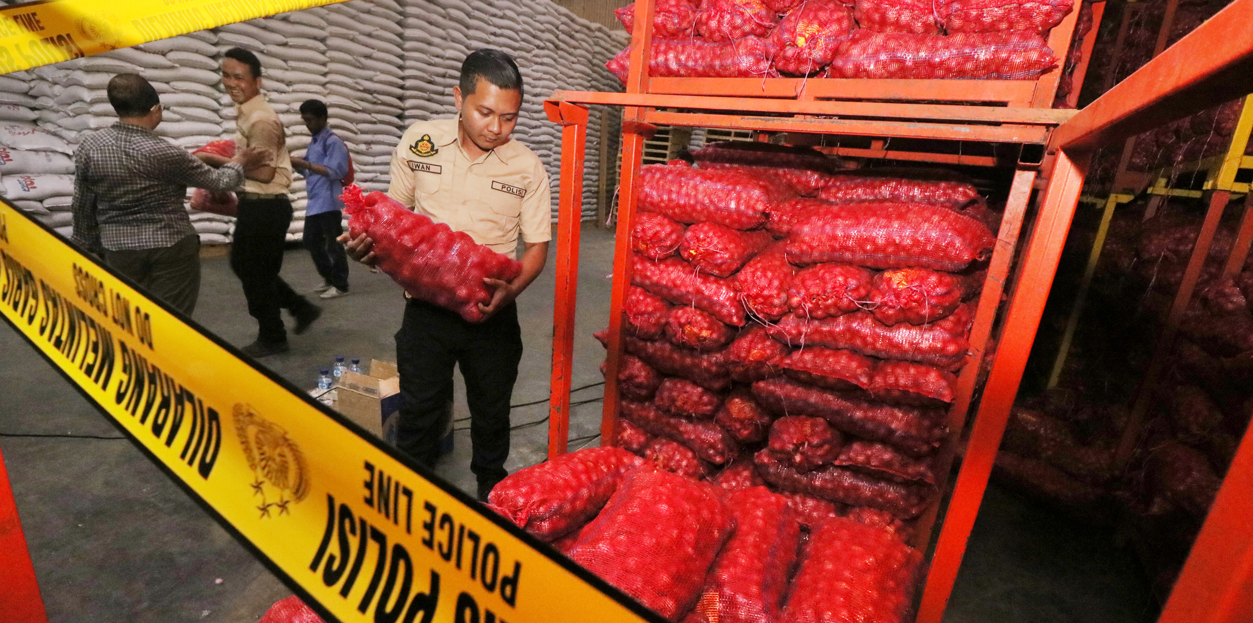 Bawang bombai ilegal