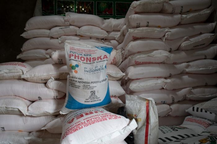 Pupuk siap didistribusikan 