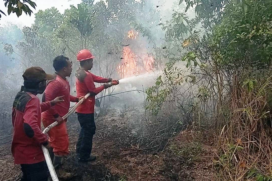 Tiga personel manggala agni sedang berusaha memadamkan kebakaran lahan yang pernah terjadi di Muarojambi.