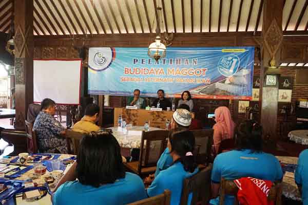 Pelatihan Budidaya Magot.