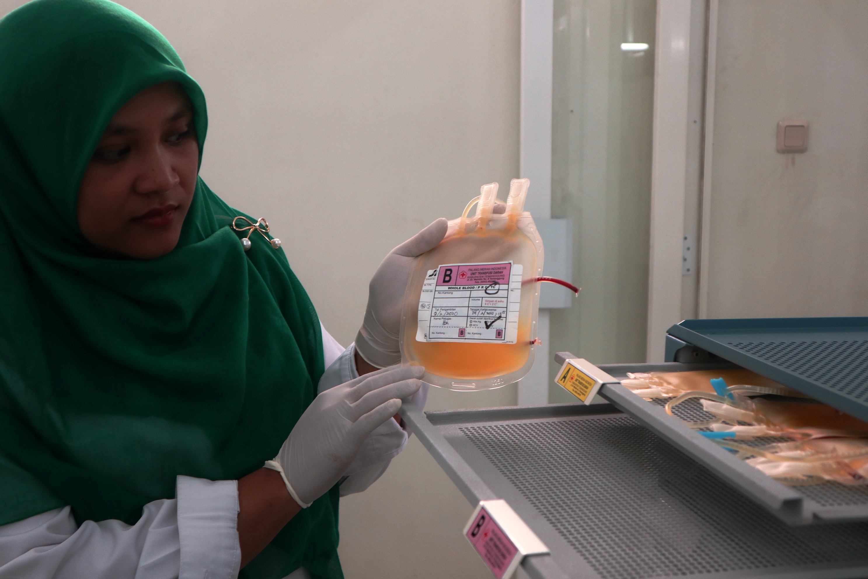 Seorang petugas PMI Temanggung menunjukkan kantong trombosit yang disiapkan untuk memenuhi permintaan pasien DB yang mengalami pendarahan.