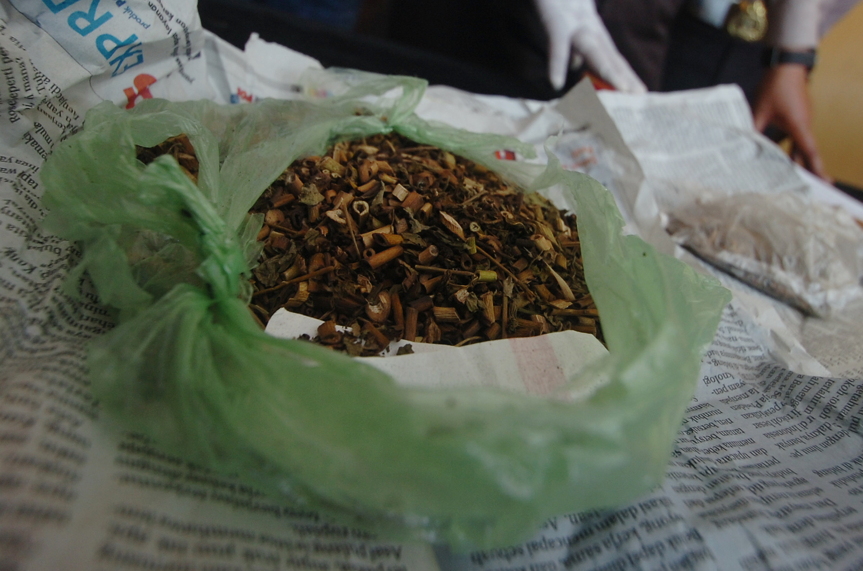 Narkotika tembakau gorila