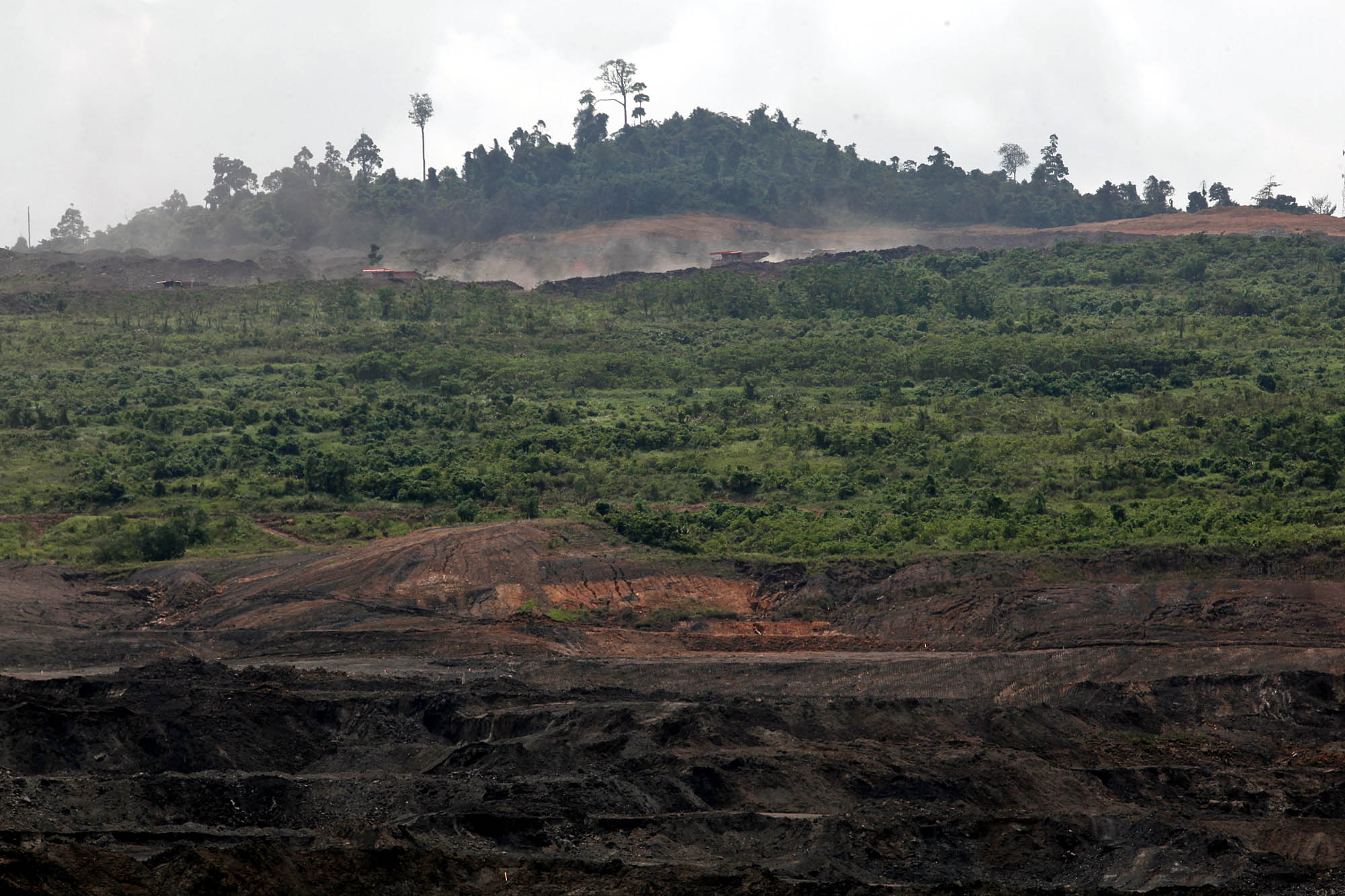Pemulihan lahan pascatambang di Kaltim
