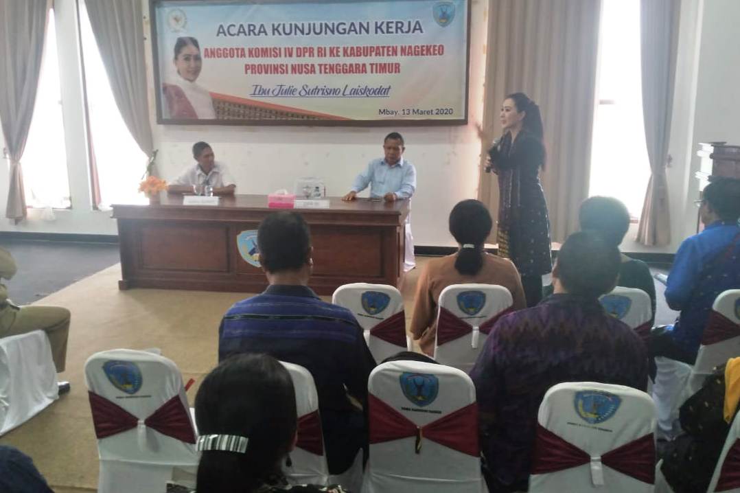 Julie Laiskodat mengingatkan pemda siapkan green design..