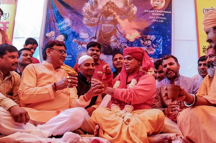 Anggota kelompok All India Hindu Mahasabha menggelar upacara minum air kencing sapi untuk menangkal virus korona.