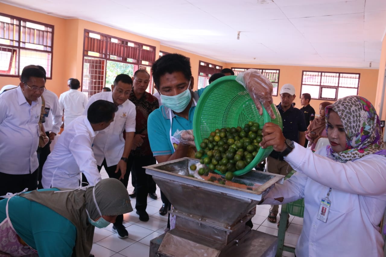 Menteri Sosial Juliari P. Batubara mengunjung proses pembuatan sirup dari ekstrak jeruk kalamasasi oleh penyandang disabilitas mental.  