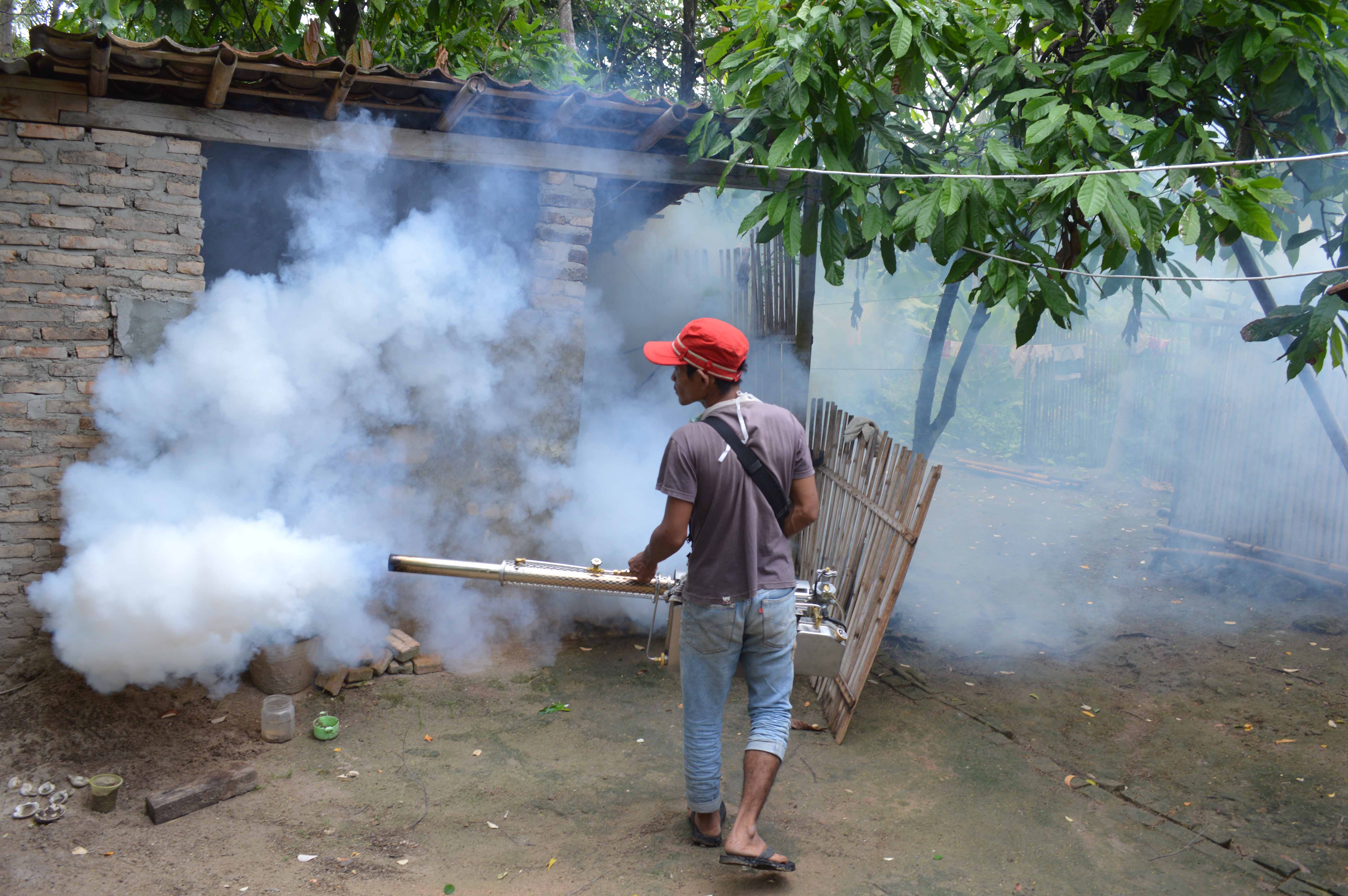 Petugas melakukan pengasapan (fogging) di Lampung Selatan untuk mengantisipasi penularan Demam Berdarah Dengue