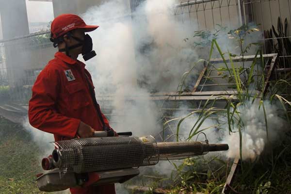 Pemerintah Fokus Cegah DB Jadi KLB