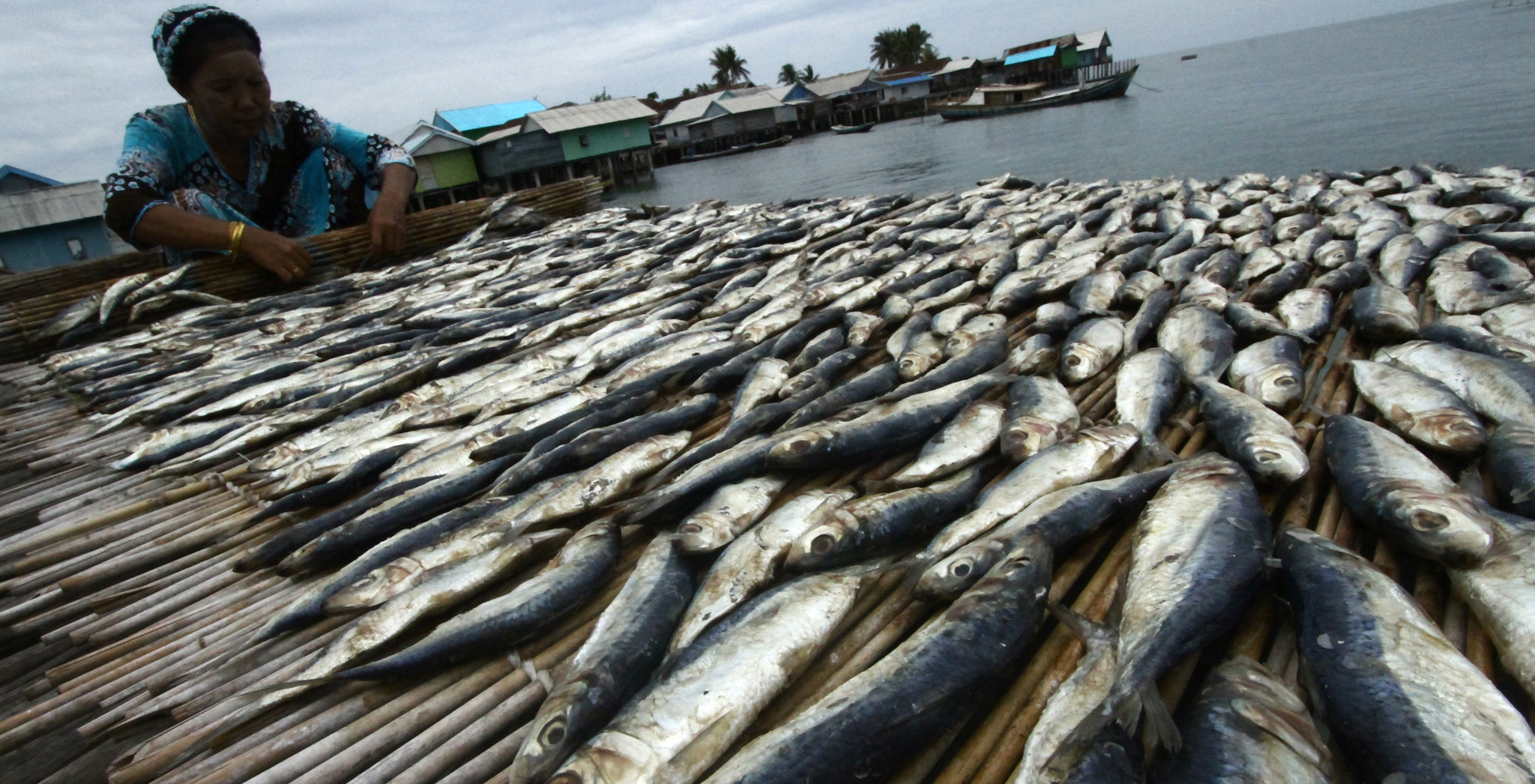 Nelayan memproses ikan cue kering di Pulau Bukulimau, Manggar, Belitung Timur, Provinsi Babel.  
