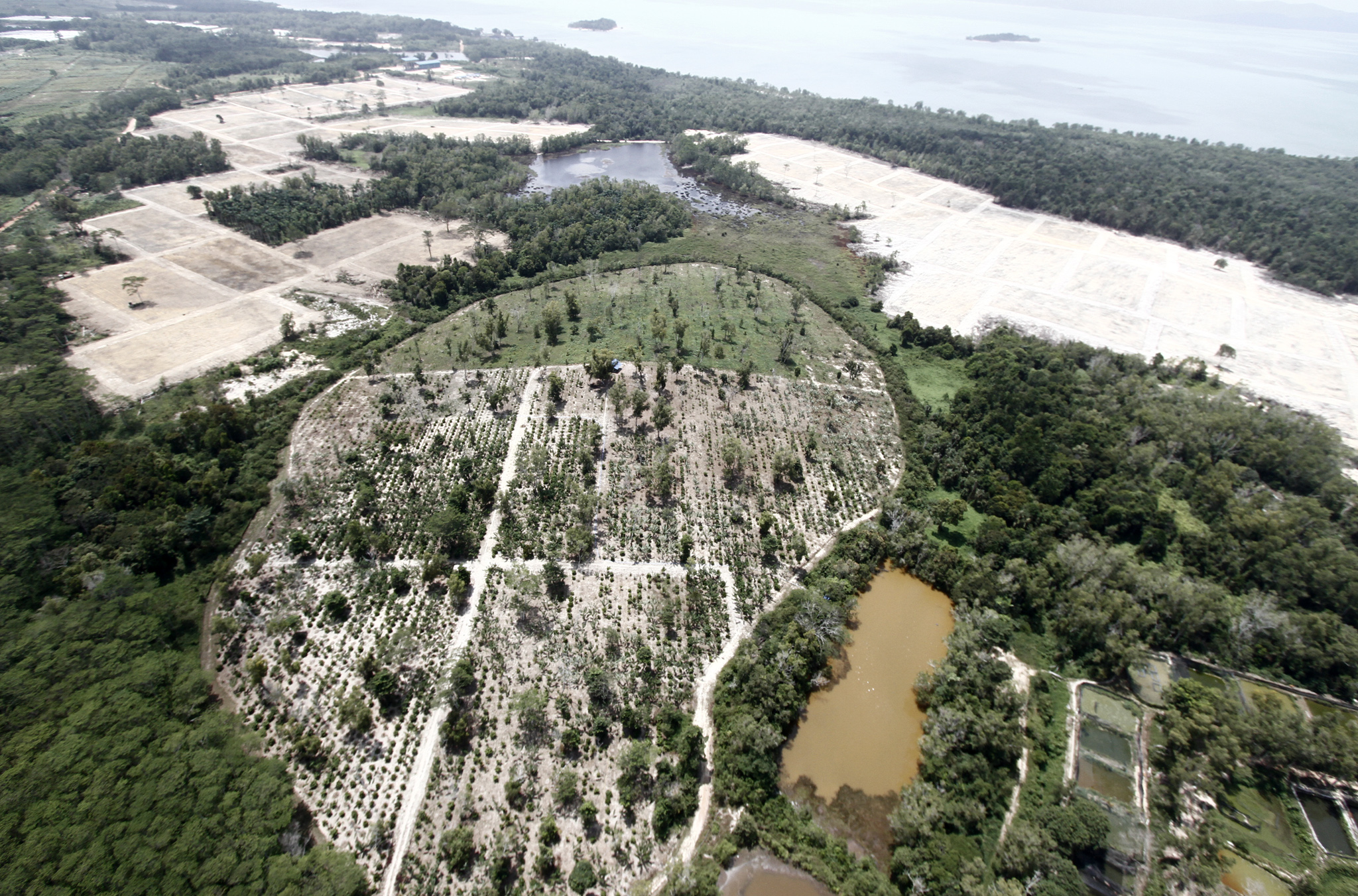 Foto pada 2015 yang menunjukkan lanskap Pulau Galang dengan pemandangan lahan hutan yang berubah jadi area perkebunan