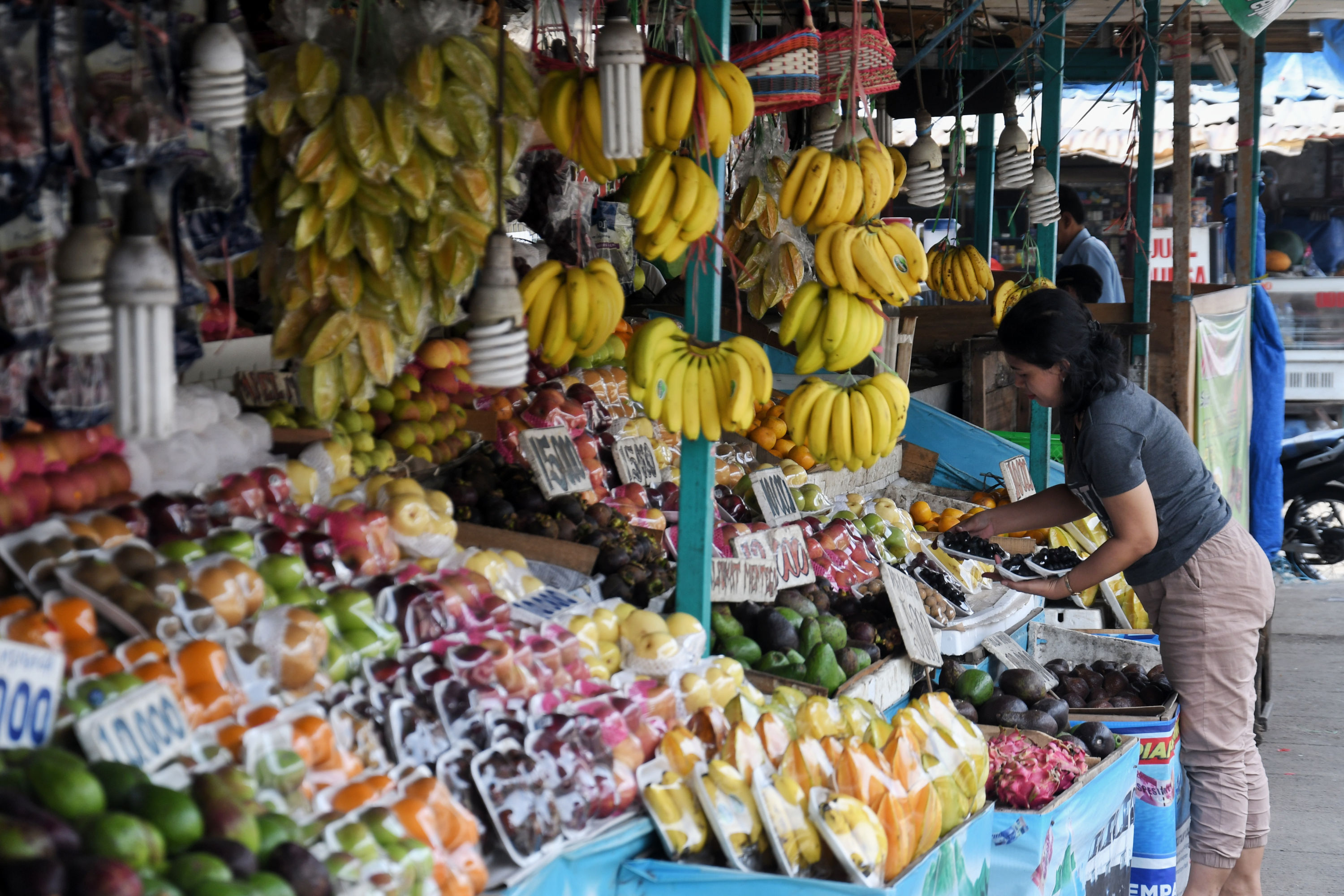 Buah-buahan lokal dan asli Indonesia belum digarap optimal.