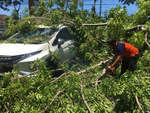 Petugas menyingkirkan pohon tumbang menimpa sebuah mobil di Jl Raya by pass Ngurah Rai, Kecamatan Kuta, Kabupaten Badung, Senin (2/3/2020).